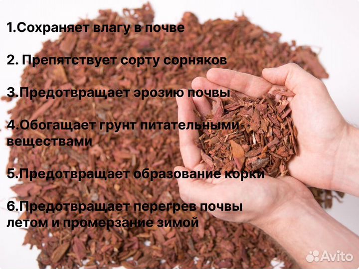 Кора лиственницы