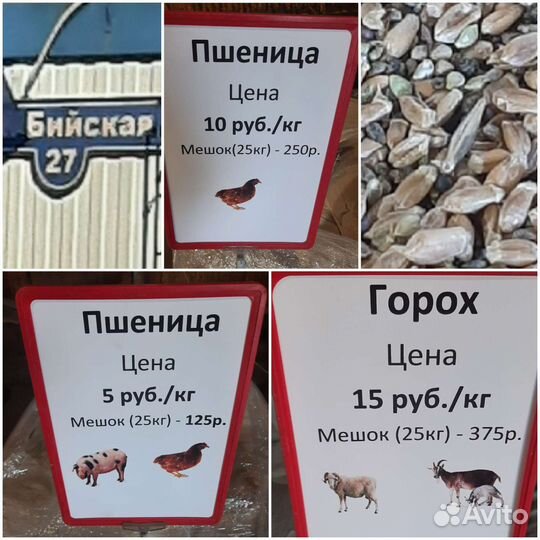 Пшеница, овес, горох