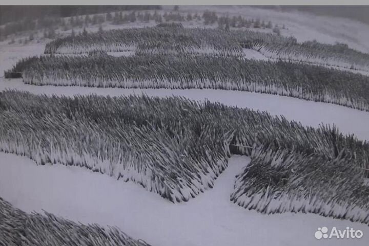 Новогодняя Ель Елка оптом