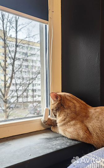 Рулонные шторы Блэкаут на заказ