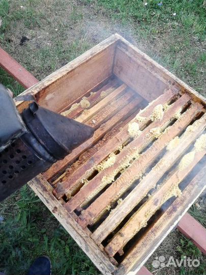 Мёд 2023г. С бесплатной доставкой