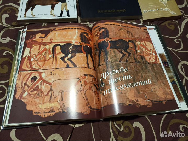 Книги о лошадях. Мир лошадей. Ваша лошадь