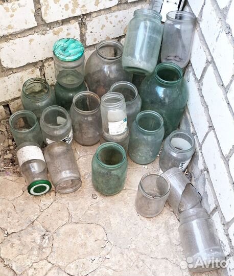 Трон для собак