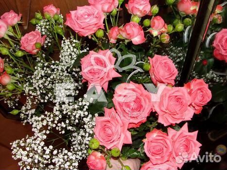 Цветы розы с доставкой 101 51 501