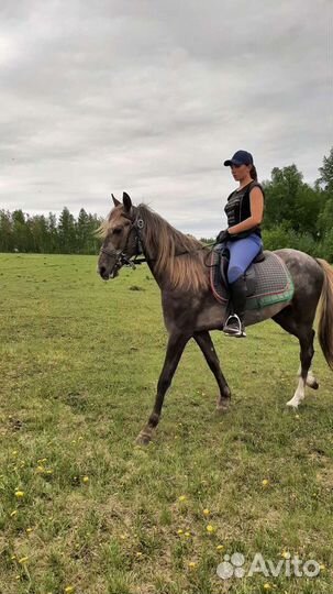 Конные прогулки по полям и лесам