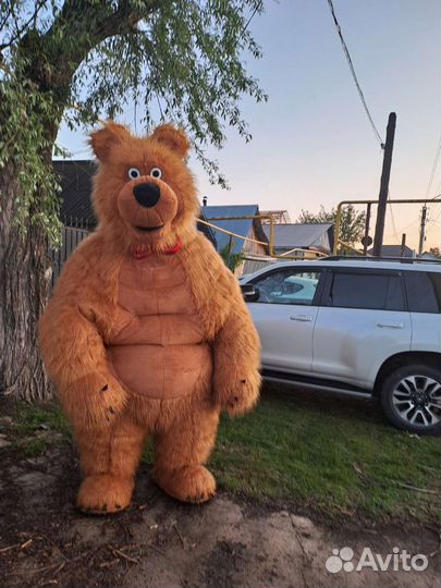 Мишка Белый умка, Бурый и Мишка Тедди