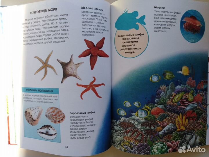 Детская энциклопедия и сказки в одной книге