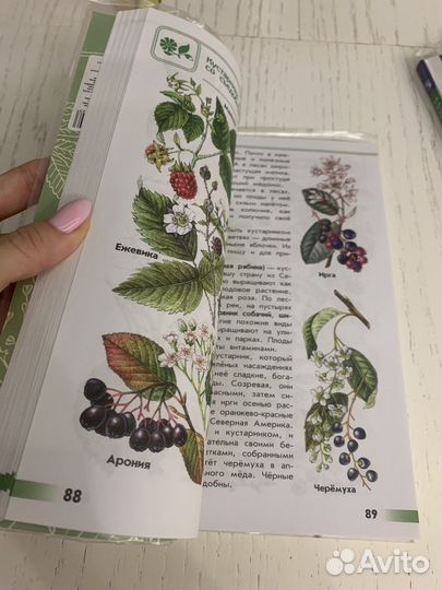 Атлас от земли до неба