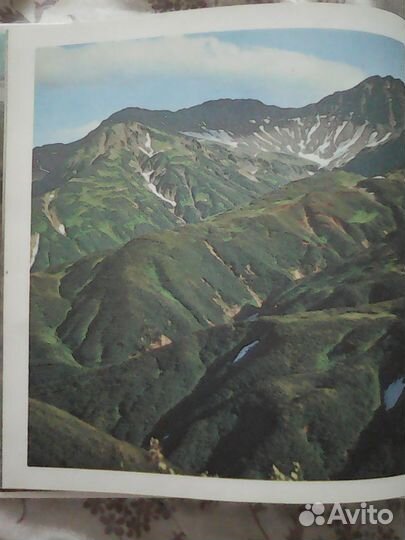 Книга северные зори