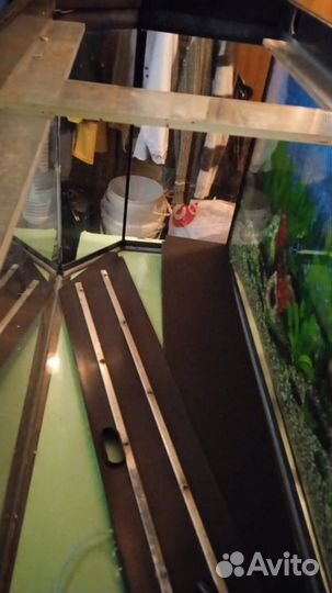 Аквариум