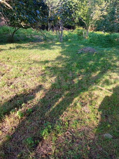 Участок 26 сот. (ИЖС)