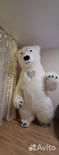 Белый мишка поздравление, организация праздников