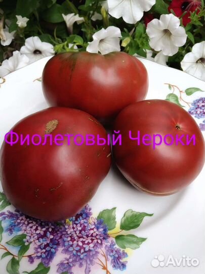 Томаты семена