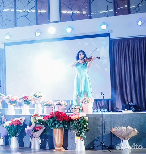 Скрипач на праздник,на армянскую свадьбу