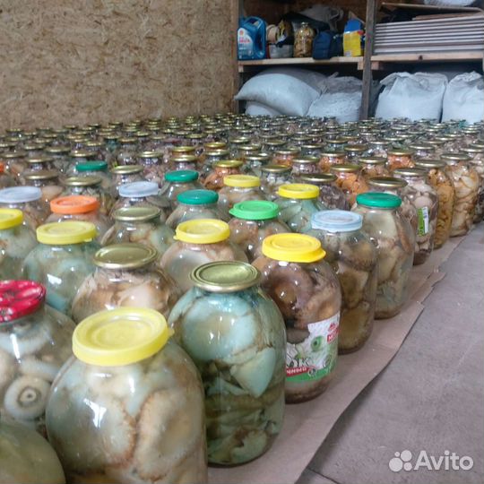 Грибы