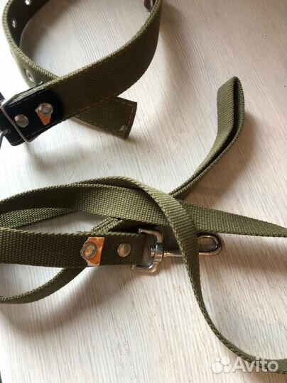 Ошейник для собак