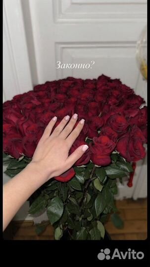 Роза опт Эквадор