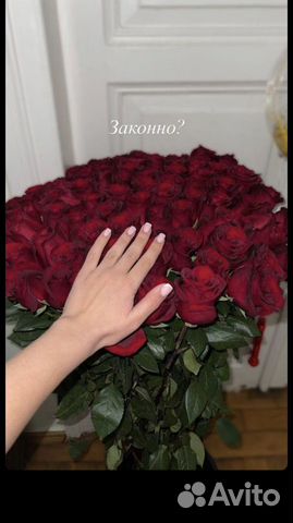 Роза опт Эквадор