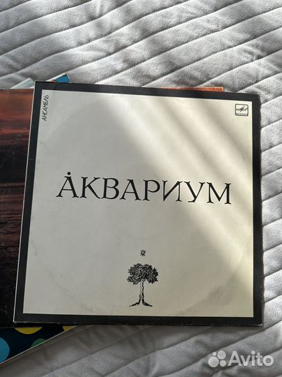 Виниловые пластинки