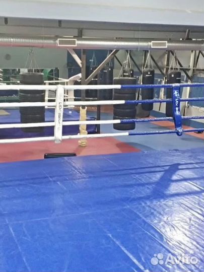 Тренировки по боксу