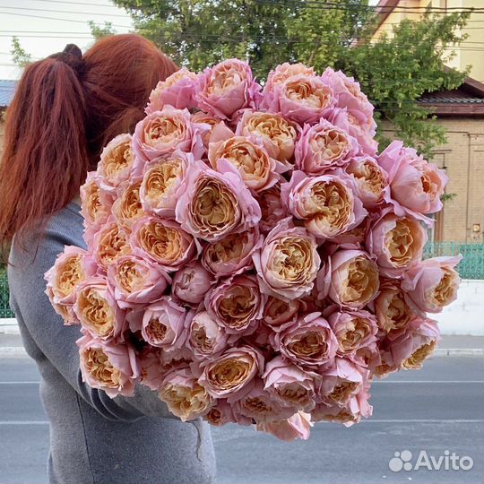 Кустовые розы пионовидные Джульетта