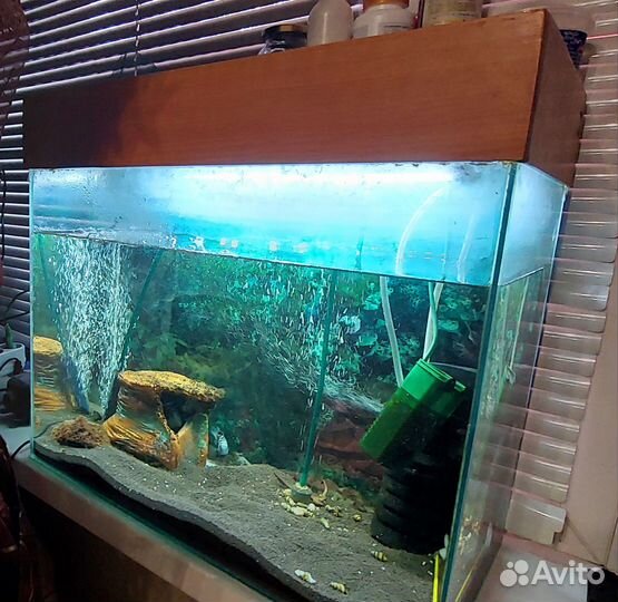 Аквариум 55 литров