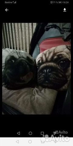 Мопс подушка кружка в подарок