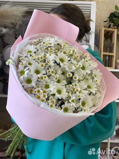 Цветы ромашки