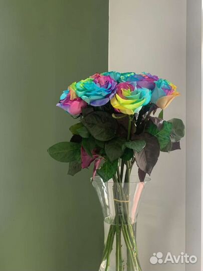 Радужные розы