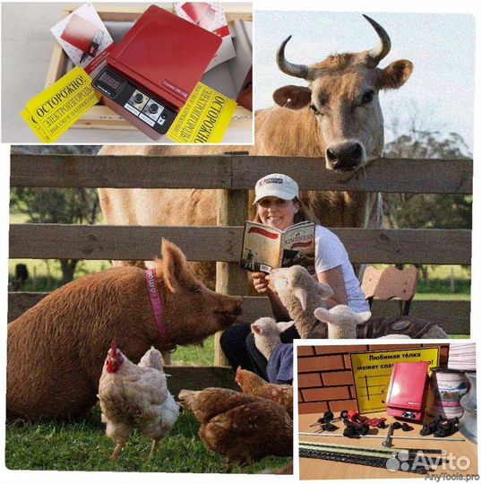 Электропастух