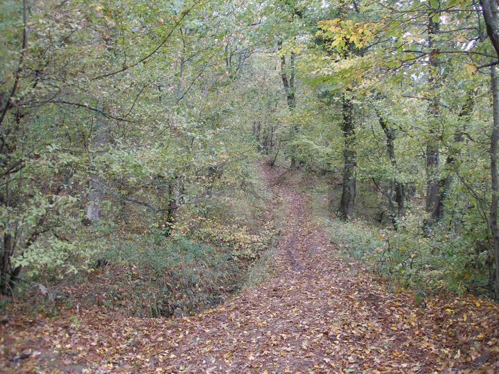 Участок 45 сот. (ИЖС)