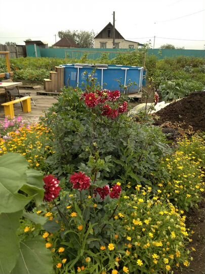 Дача 24 м² на участке 10 сот.