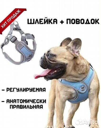 Шлейка для собак