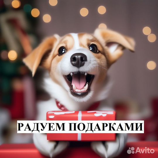 Реклама, маркетинг, продвижение