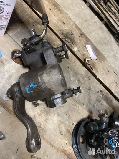 Гур на газель