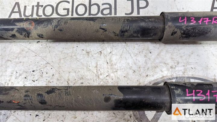 Амортизатор задний ford focus