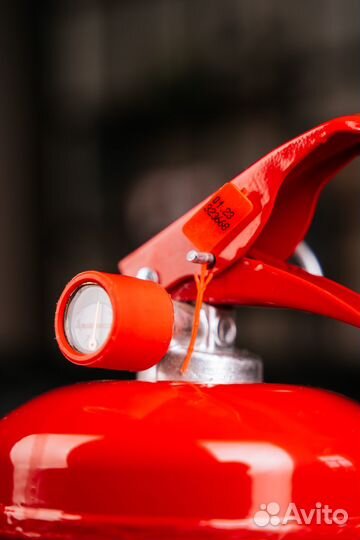 Огнетушитель оп-2 автомобильный