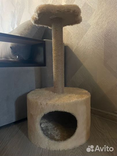 Домик лежанка для кошки