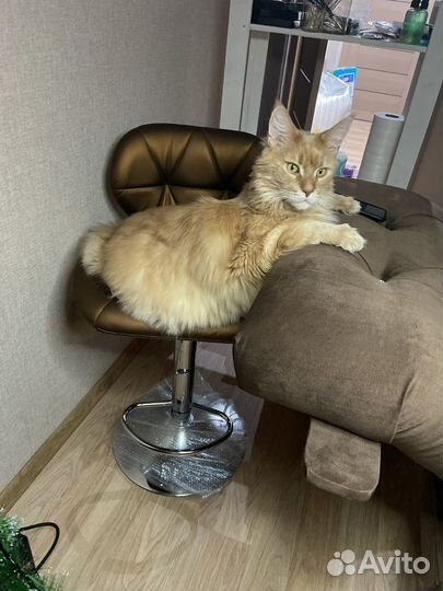 Продам ортопедическую кушетку и стул