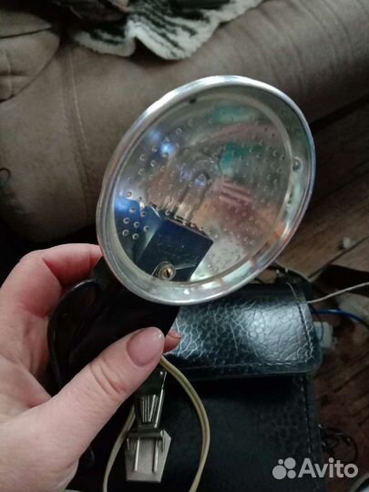 Фотовспышка чайка