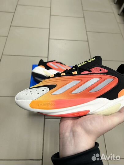 Кроссовки Adidas Ozelia мужские