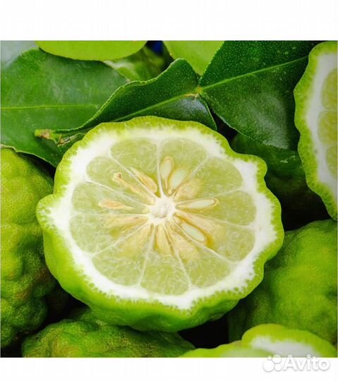 Yodeyma peak Вода парфюмерная 50 мл