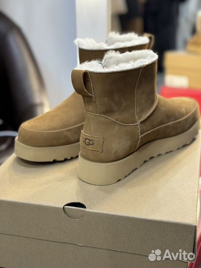 Угги UGG classic zip mini suude boot