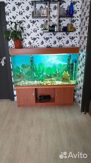 Аквариум с тумбой 400 литров