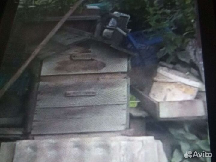 Ульи рамки и другой инвентарь