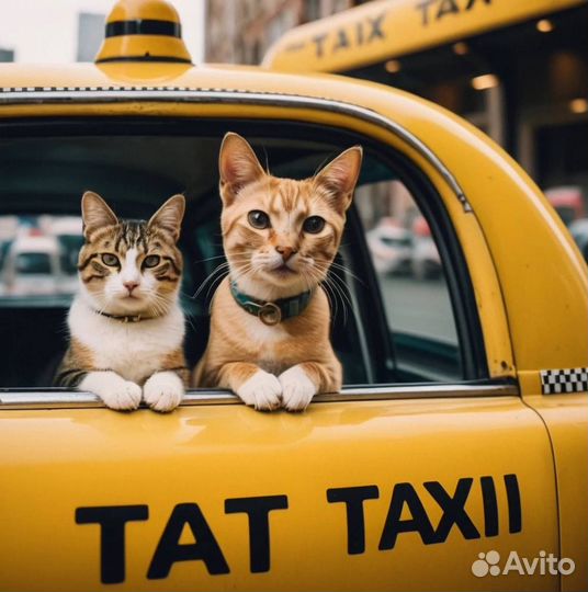 Перевозка животных, зоотакси