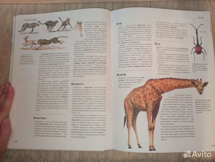 Энциклопедия