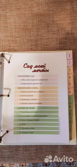 Сад моей мечты