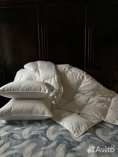 Пух. одеяло, подушки, гусиный экстра