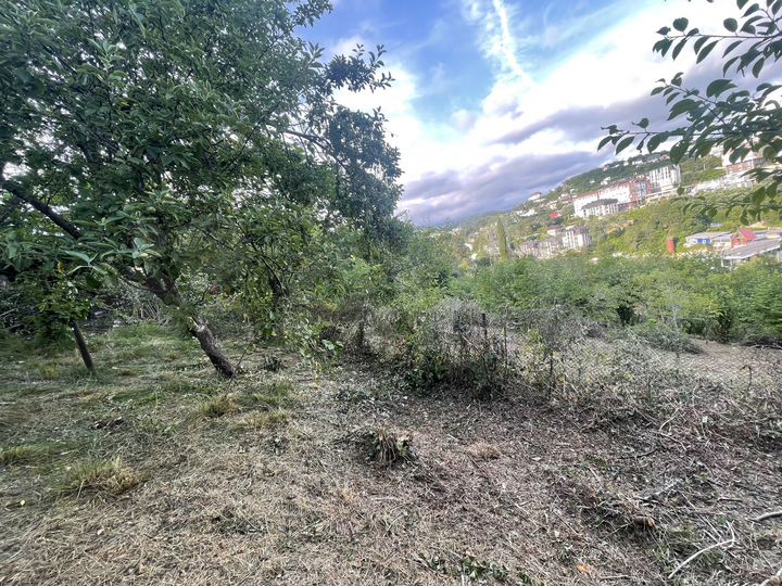 Участок 5,7 сот. (СНТ, ДНП)